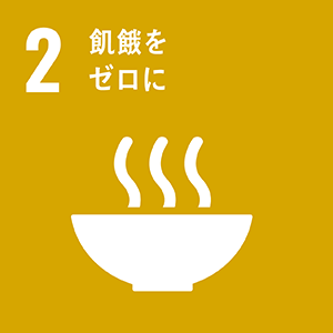 11 住み続けられるまちづくりを