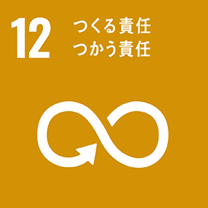 11 住み続けられるまちづくりを