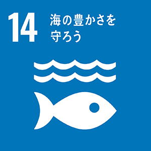 11 住み続けられるまちづくりを