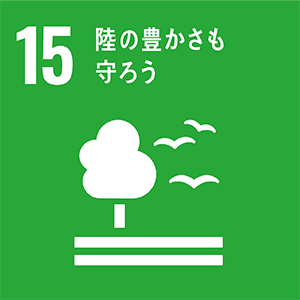 11 住み続けられるまちづくりを